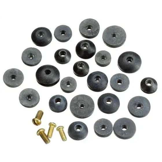 Plumb Pak Pp805-21 Faucet Beveled Washer And Screw Assorted 1