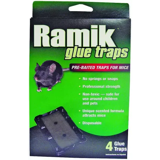 Neogen 116220 Ramik Glue Trap 4 Pack 1