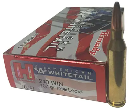 Hornady American Whitetail 243 Winchester Ammo 100 Grain 1
