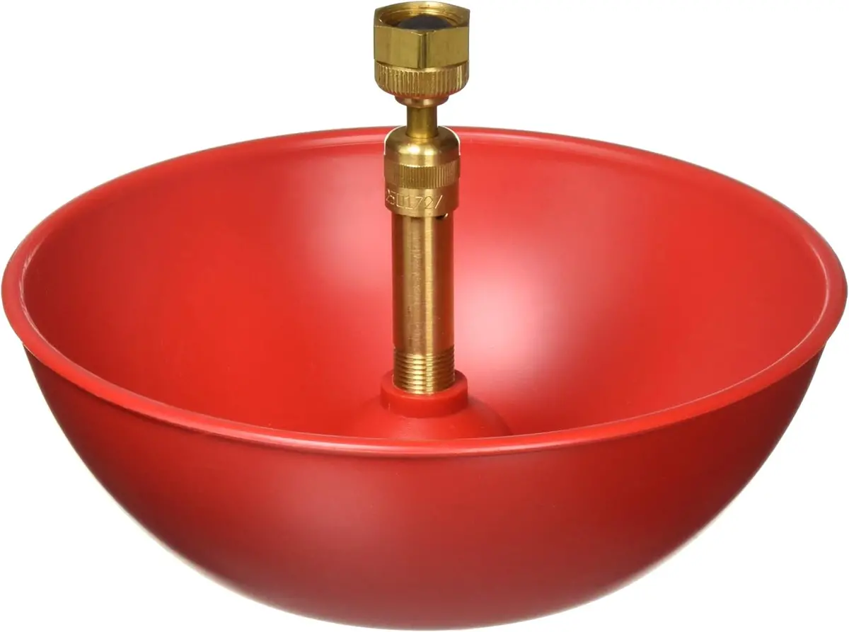 Little Giant® Poultry Fount 1