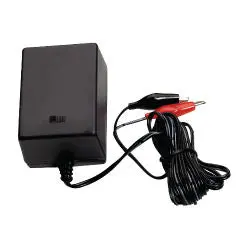 American Hunter® 6/12V Battery Charger 1