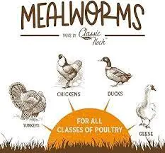 Classic Flock Mealworms 30 Oz. 1