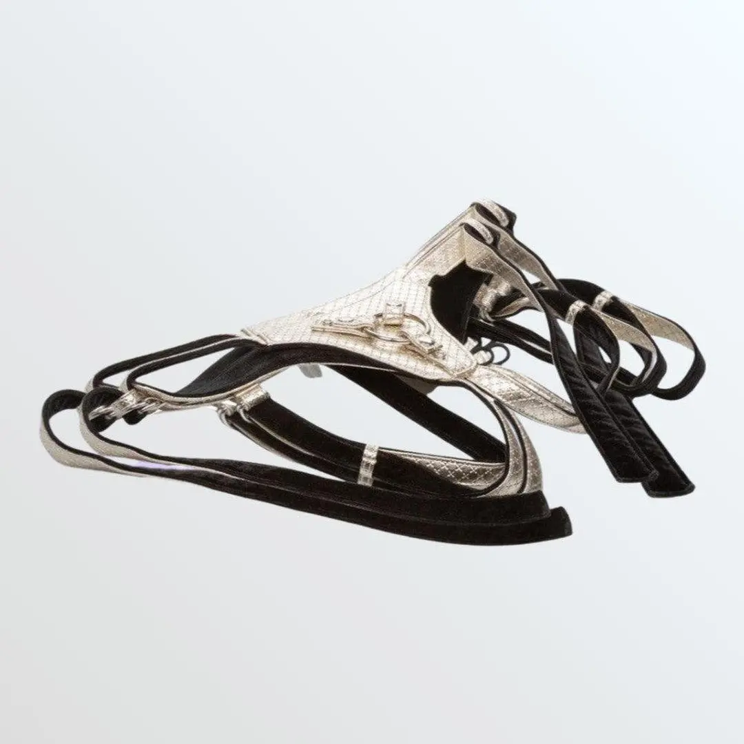 Her Royal Harness The Regal Queen Gold Strap-On Harness 1