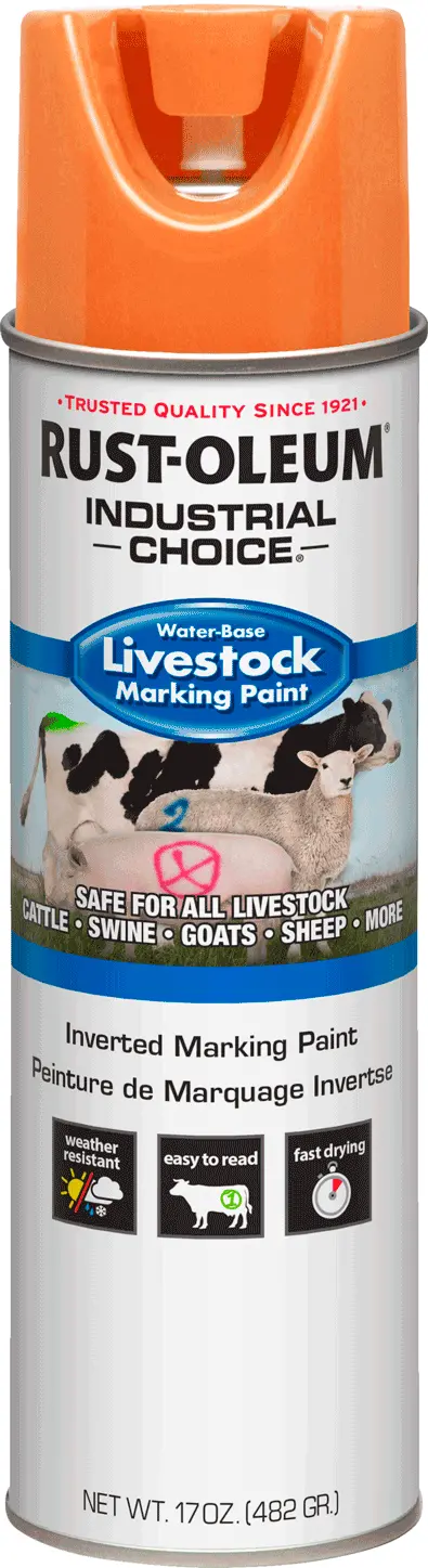 Orange Marking Spray Paint Livestock 17Oz 1