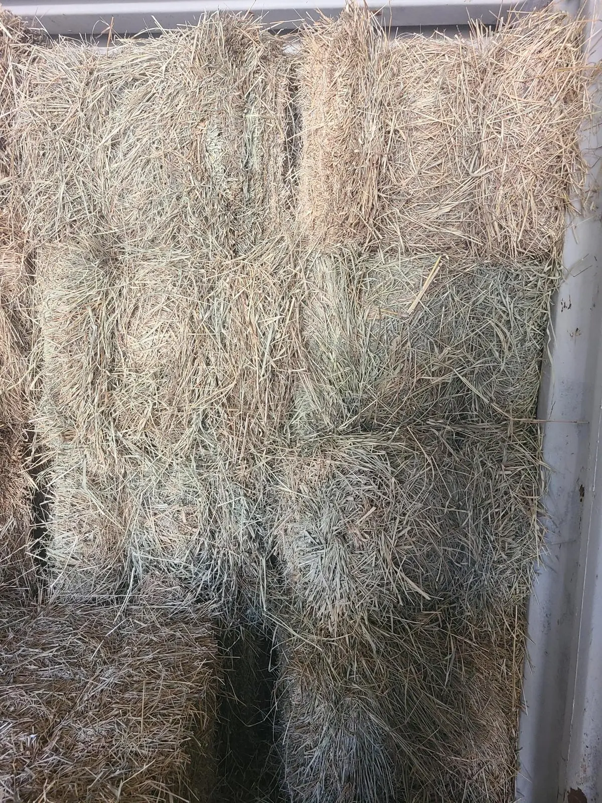Hay Coastal Bale Square 1