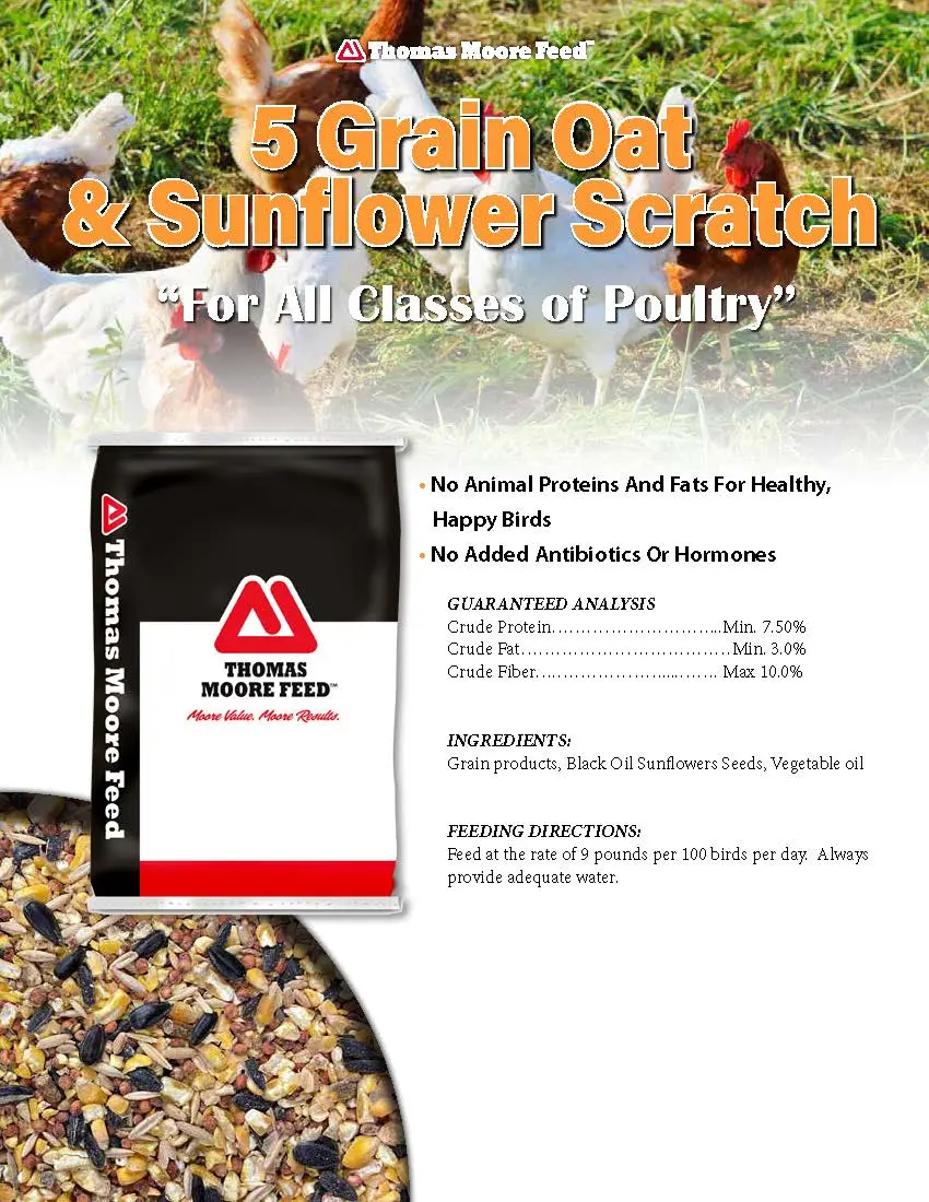 Scratch Grains With Oat & Sunflower 50# Thomas Moore Feed 1