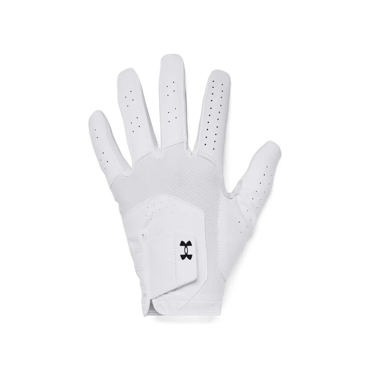 Under Armour Golf Ua Iso-Chill Glove Mlh 1