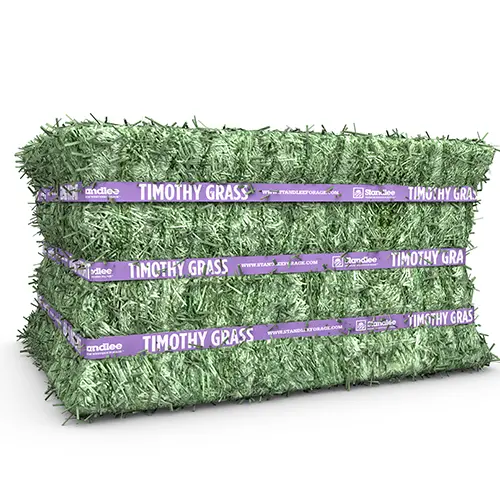 Premium Timothy Grab & Go Compressed Bale - 50 Lb 1