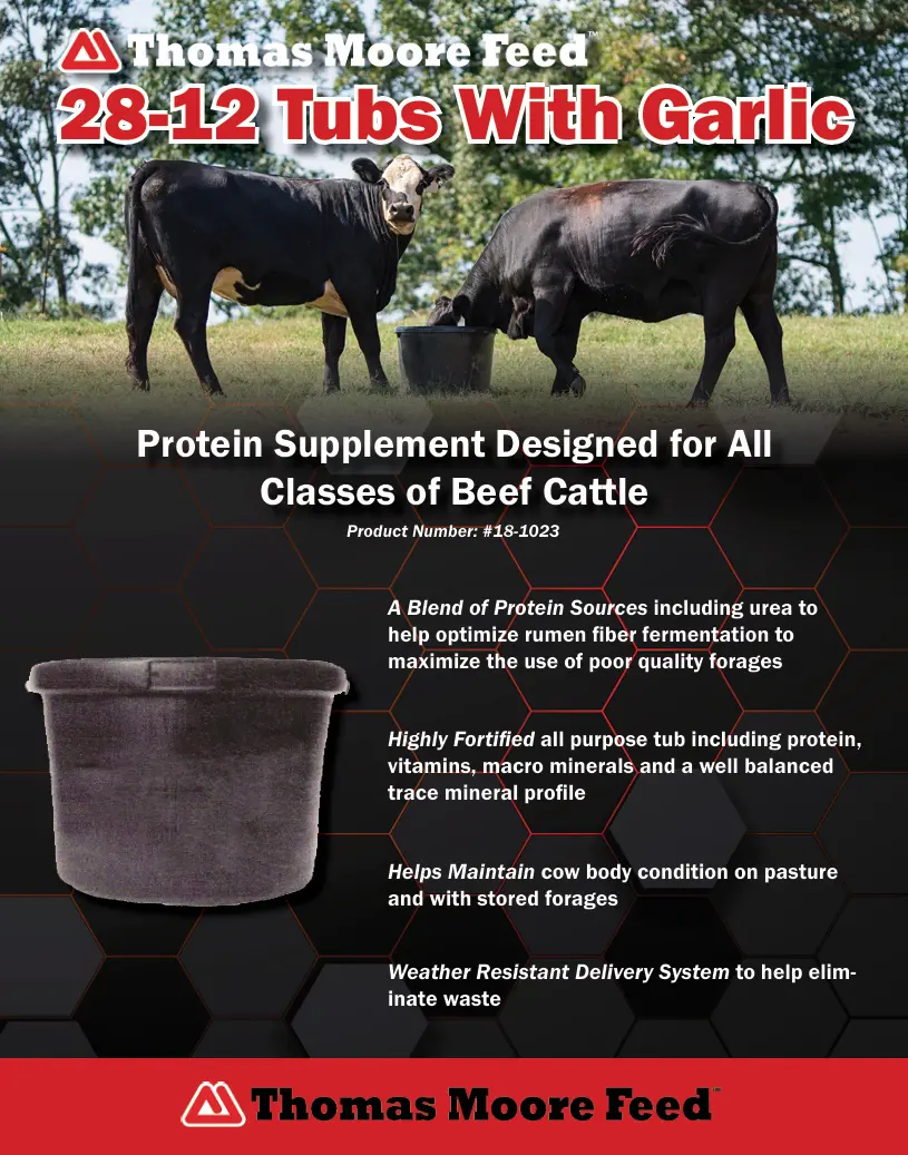 Thomas Moore 28-12% Cooked Protien Tub With Garlic 1
