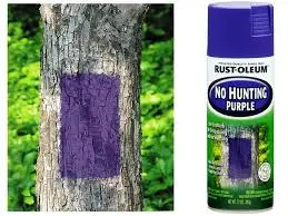No Hunting Spray Paint, Purple, 12-Oz 1