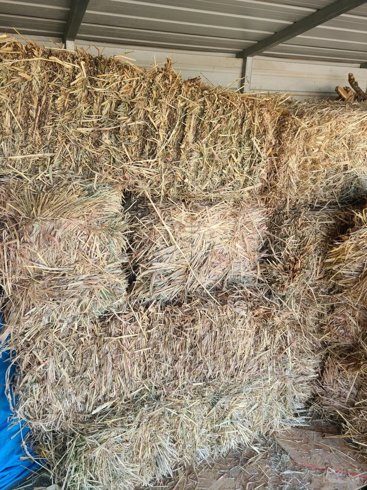 Hay Haygrazer Bale Square 1
